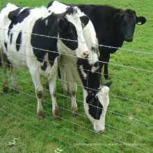 Cheap Cattle Farm Guard Field Fence